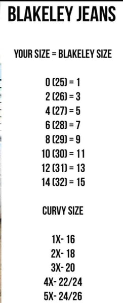 Romi Tummy Control Denim 32" (Regular) Inseam